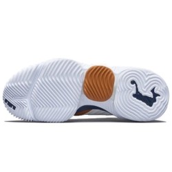 Nike LeBron 16 - Confort Performance Synergiques